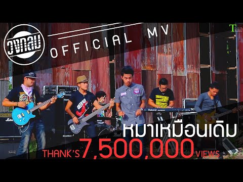 หมาเหมือนเดิม วงกลม | TMG OFFICIAL MV